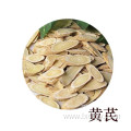 astragalus membranaceus tea root